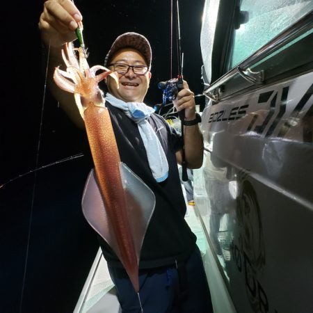 シーライオン 釣果