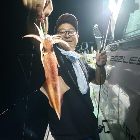 シーライオン 釣果