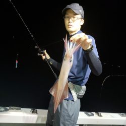 シーライオン 釣果