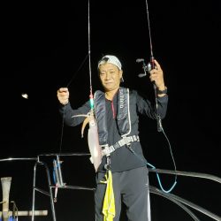 シーライオン 釣果