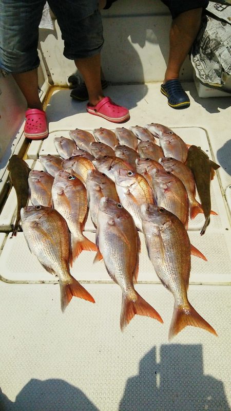 マリンガイド福丸 釣果