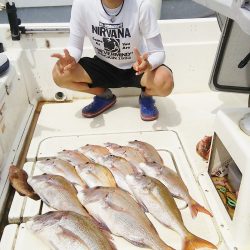 マリンガイド福丸 釣果