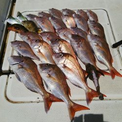 マリンガイド福丸 釣果