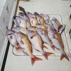 マリンガイド福丸 釣果