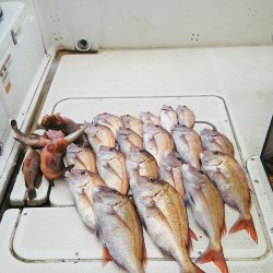 マリンガイド福丸 釣果