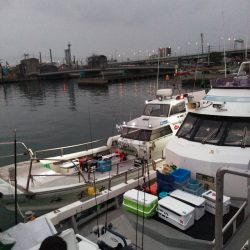 海季丸(みきまる) 釣果