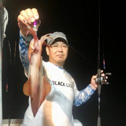 South Current 釣果