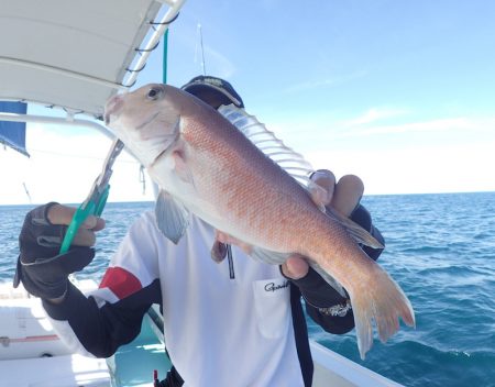 水天丸 釣果
