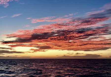 South Current 釣果