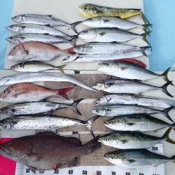 水天丸 釣果