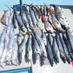 水天丸 釣果