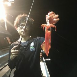 South Current 釣果