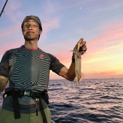 South Current 釣果