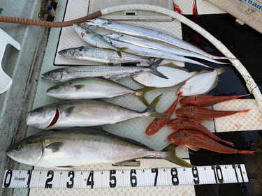 オーシャンスター(Ocean Star) …