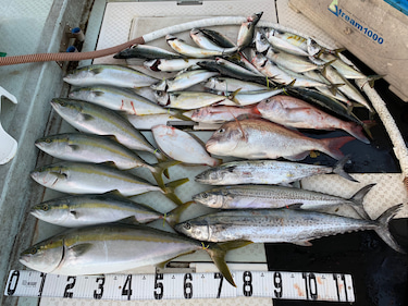 オーシャンスター(Ocean Star) …