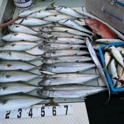 オーシャンスター(Ocean Star) 釣果