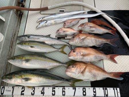 オーシャンスター(Ocean Star) …