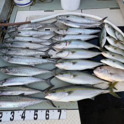 オーシャンスター(Ocean Star) 釣果