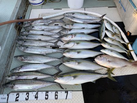 オーシャンスター(Ocean Star) …