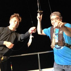 South Current 釣果