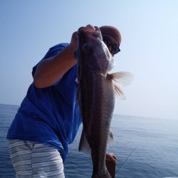 ひな丸 釣果