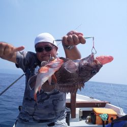ひな丸 釣果