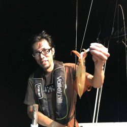 South Current 釣果