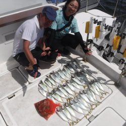 JDI Racing シールズマリンレジャー 釣果