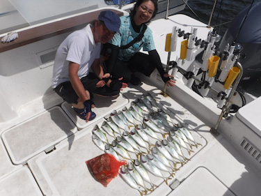 JDI Racing シールズマリンレジャー 釣果