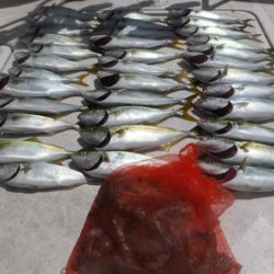 JDI Racing シールズマリンレジャー 釣果