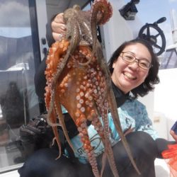 JDI Racing シールズマリンレジャー 釣果