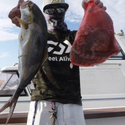 JDI Racing シールズマリンレジャー 釣果