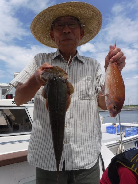 JDI Racing シールズマリンレジャー 釣果