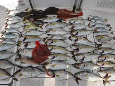 ＪＤＩ　Ｒａｃｉｎｇ　シールズマリンレジャ…