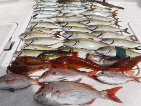 ＪＤＩ　Ｒａｃｉｎｇ　シールズマリンレジャ…