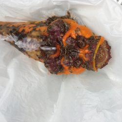 海季丸(みきまる) 釣果