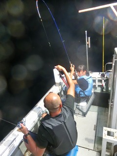 第二清洋丸 釣果