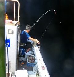 第二清洋丸 釣果