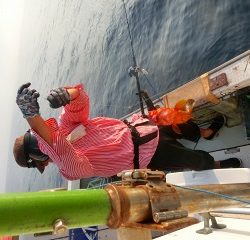 第二清洋丸 釣果