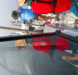 第二清洋丸 釣果