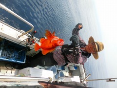 第二清洋丸 釣果