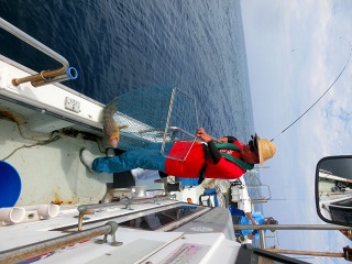 第二清洋丸 釣果