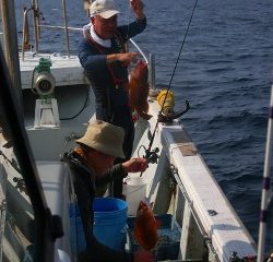 第二清洋丸 釣果