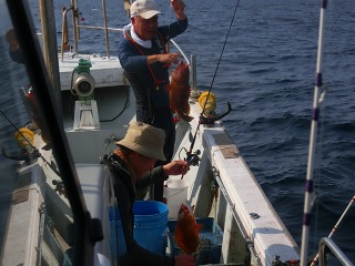 第二清洋丸 釣果