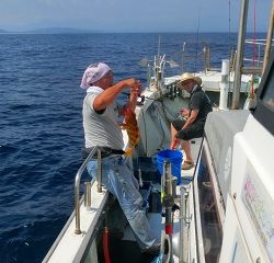 第二清洋丸 釣果