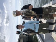 ＮＡＧＡＳＨＩＭA ＭＡＲＵ（永島丸） 釣果