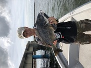 ＮＡＧＡＳＨＩＭA ＭＡＲＵ（永島丸） 釣果