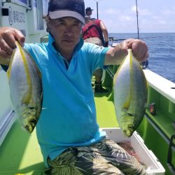 ゆたか丸 釣果