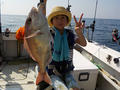 釣船 キティ 釣果
