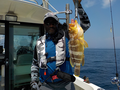 釣船 キティ 釣果